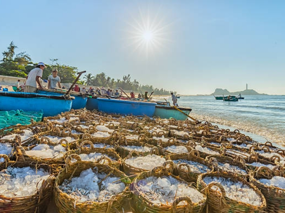 Nước mắm Cà Ná – Ninh Thuận